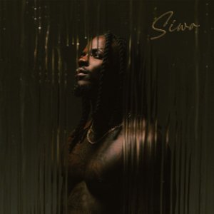 Mathieu White - Siwo (Cover art)