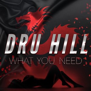 Dru Hill - What You Need (Cover art)