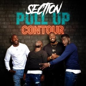 Section Pull Up - Contour (Cover art)