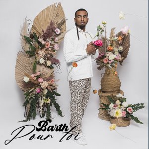 Barth - Pour Toi (Cover art)