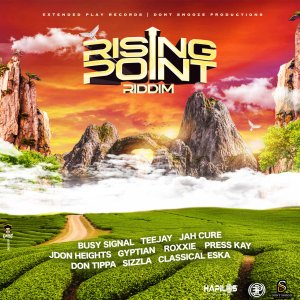 Rising Point Riddim (Cover art)