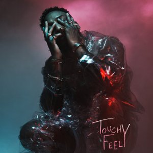 Ro James - Touchy Feely (Cover art)