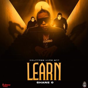Shane O - Learn (Cover art)