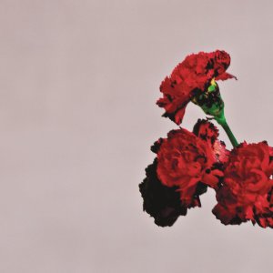 John Legend - Love In The Future (Cover art)