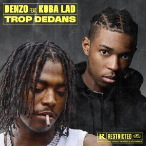 Denzo - Trop Dedans (ft. Koba LaD) (Cover art)
