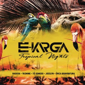 E-Karga Tropical Nights (Cover art)