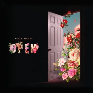 Stalk Ashley - Open (Cover art)