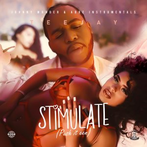 Teejay - Stimulate (Push It Een) (Cover art)