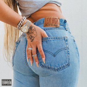 DaniLeigh - Levi High (ft. DaBaby) (Cover art)
