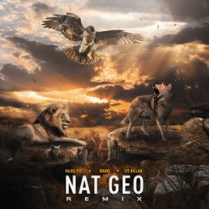 Falke 912 - Nat Geo (Remix) (ft. Bhavi and Lit Killah) (Cover art)