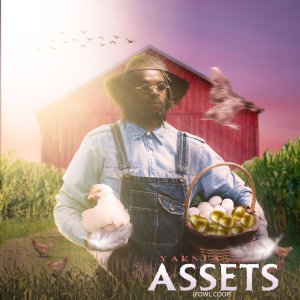 Yaksta - Assets (Fowl Coop) (Cover art)