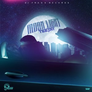 Teejay - Moon Light (Cover art)