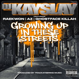 DJ Kay Slay - Growing Up In These Streets (ft. Raekwon, AZ and Ghostface Killah) (Cover art)