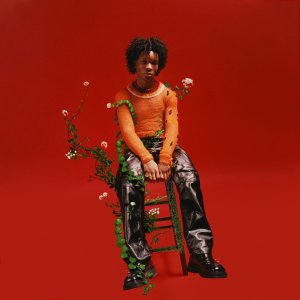 D4vd - Petals To Thorns (Cover art)