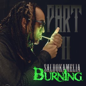 Saldokamelia - Burning Part II (Cover art)
