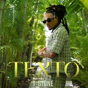 T-stone - Texto (Cover art)