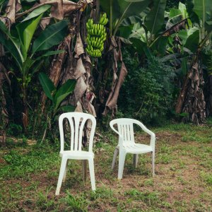 Bad Bunny - Debí Tirar Más Fotos (Cover art)