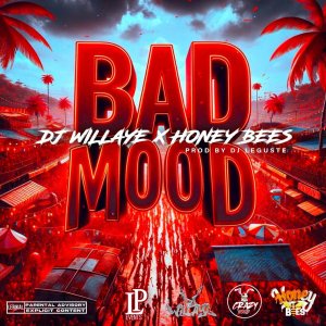 Honey Bees and DJ Willaye - Bad mood (Cover art)