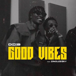 Didi B - Good Vibes (ft. Zinoleesky) (Cover art)