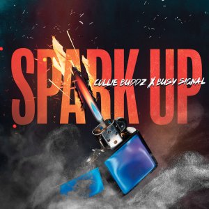 Collie Buddz - Spark Up (ft. Busy Signal) (Cover art)